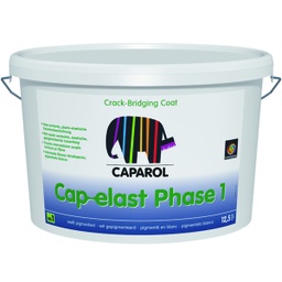 CAP-ELAST Phase 2